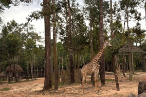 Phu Quoc: Safari, Grand World, Quintessence of Tonkin Tour