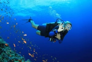 Phu Quoc : Scuba Diving and Parasailing at Roi Island