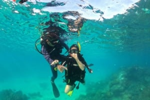 Phu Quoc: Dykkeroplevelser for alle niveauer