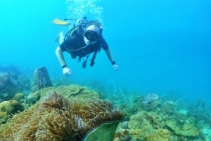 Phu Quoc: duikervaring voor alle niveaus