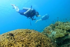 Phu Quoc : expérience de plongée sous-marine pour tous les niveaux