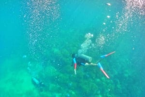 Phu Quoc: Dykning för alla nivåer