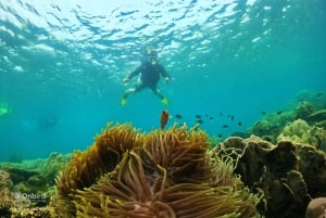 Phu Quoc: Tour em pequenos grupos para mergulho com snorkel em lancha rápida