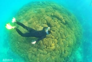 Phu Quoc: Tour em pequenos grupos para mergulho com snorkel em lancha rápida