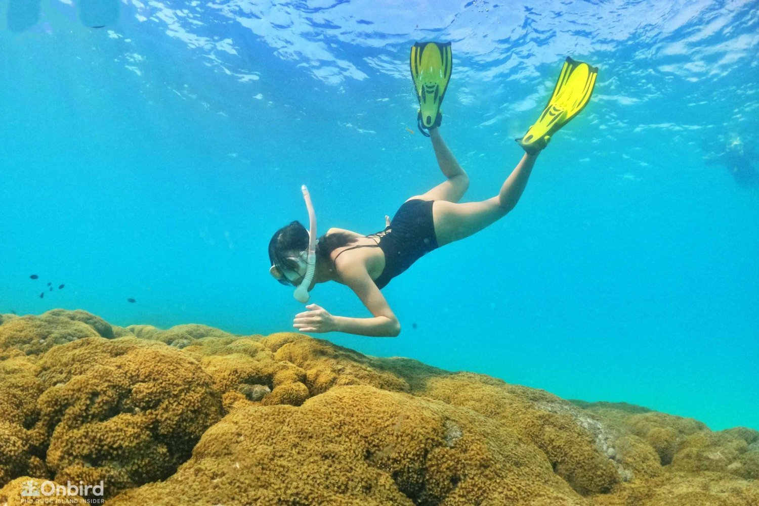 Phu Quoc: Small-Group Snorkeling Tour by Speedboat