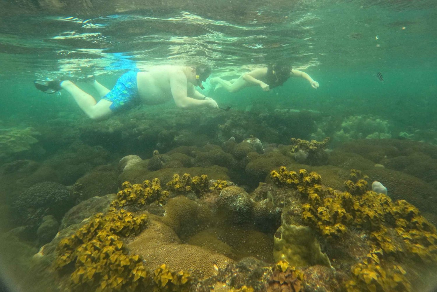 Phu Quoc: snorkelen en eilandhoppen met een speedboot