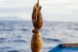 Phu Quoc: snorkel y pesca en el sur