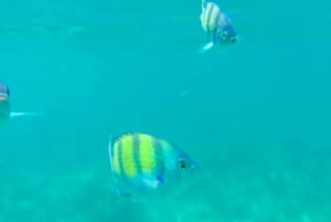 Phu Quoc: Snorkeling & Fishing in the South