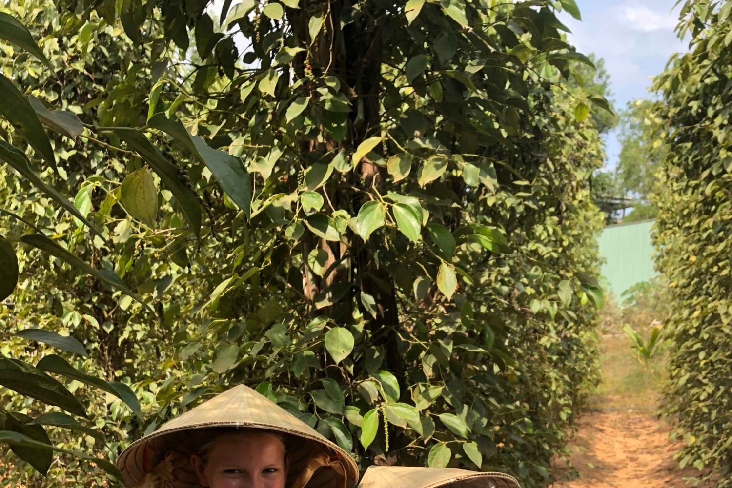 Phú Quốc : visite des temps forts du sud de l'île