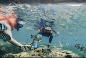 Phu Quoc: Speedboat Tour of 4 Islands with Snorkeling & BBQ