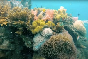 Phu Quoc: Excursión en lancha rápida por 4 islas con snorkel y barbacoa