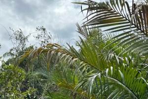 Phu Quoc: Starfish Beach, kajakpaddling och lunch på en dagsutflykt