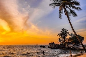 Phu Quoc: tour panoramico di un giorno del lato nord