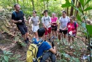 Phu Quoc: Tien Son Dinh 6-Hour Jungle Trekking Adventure