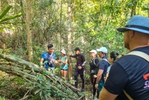 Phu Quoc: Tien Son Dinh 6-Hour Jungle Trekking Adventure