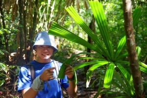 Phu Quoc: Tien Son Dinh 6-Hour Jungle Trekking Adventure