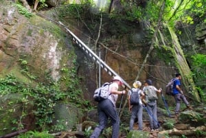 Phu Quoc: Tien Son Dinh 6-Hour Jungle Trekking Adventure