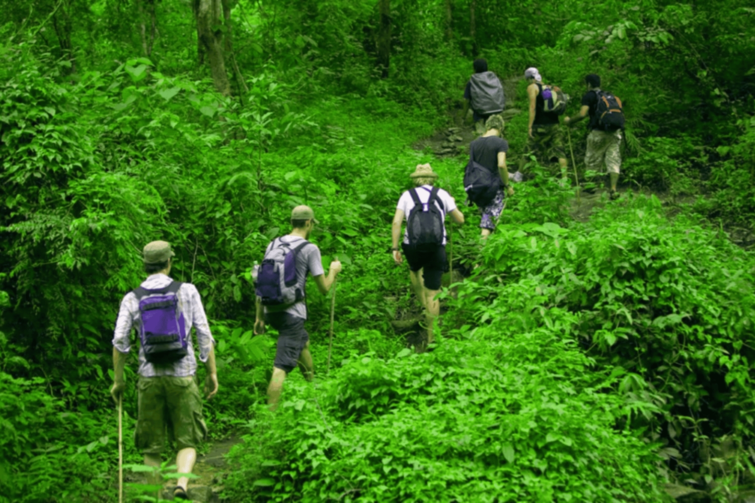 Phú Quốc: trekking al Tien Son, arroyo Tranh y almuerzo