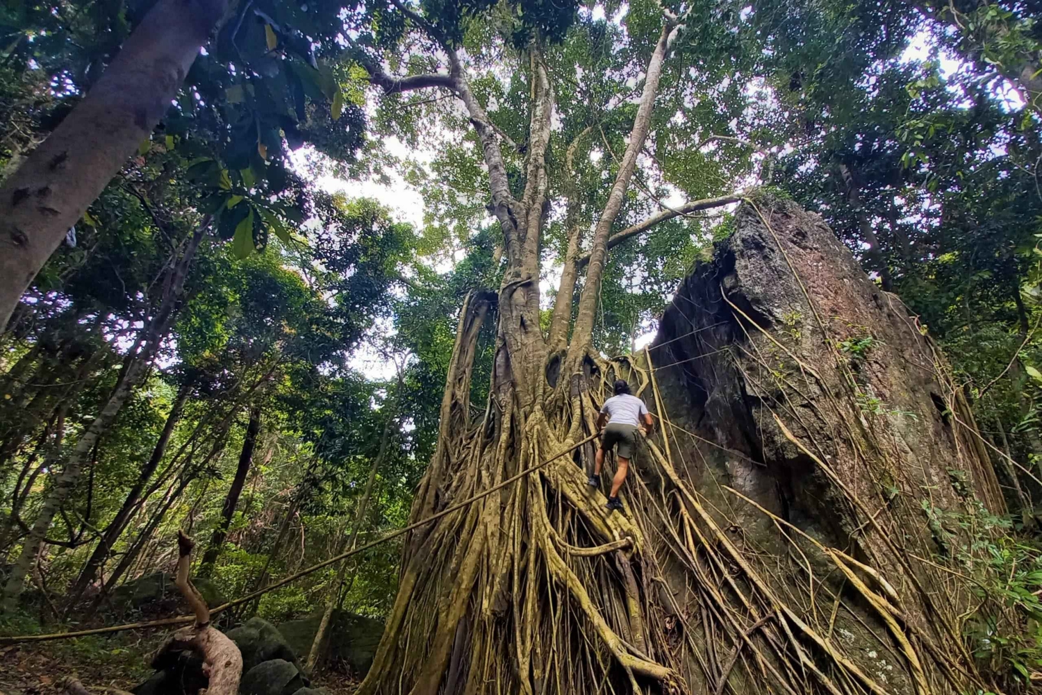 Phú Quốc: trekking al Tien Son, arroyo Tranh y almuerzo