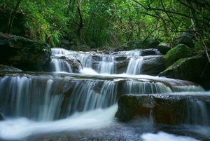 Phú Quốc: trekking al Tien Son, arroyo Tranh y almuerzo