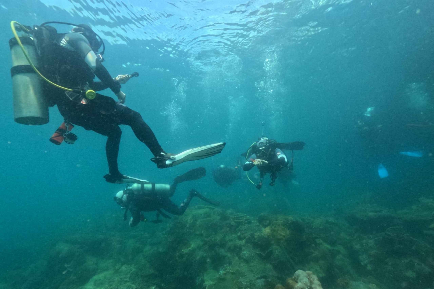 Phu Quoc: Tour scuba diving - Dive deep - Explore deeper