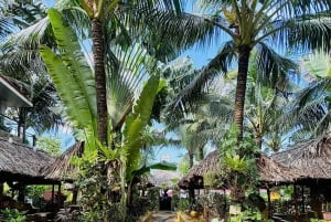 Phú Quốc : bain de boue, spa et boîte de nuit privée