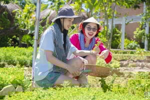 Phu Quoc: lekcja gotowania wietnamskiego i warsztaty ziołowe