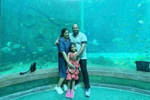 Phú Quốc: tour di 1 giorno a Vin Safari, VinWonders e Grand World