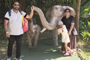 Phú Quốc: tour di 1 giorno a Vin Safari, VinWonders e Grand World