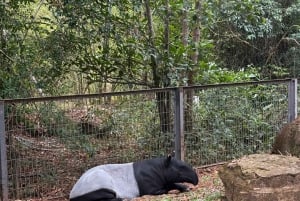 Parque temático Phu Quoc VinWonders y safari por la fauna salvaje