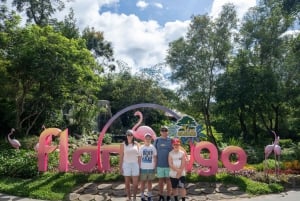 Parco a tema VinWonders e safari nella fauna selvatica di Phu Quoc