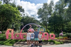 Parco a tema VinWonders e safari nella fauna selvatica di Phu Quoc