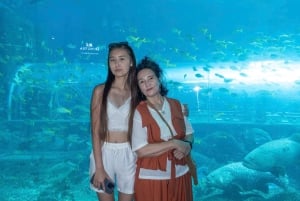 Parco a tema VinWonders e safari nella fauna selvatica di Phu Quoc