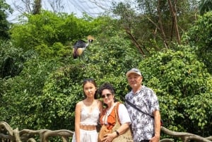 Parco a tema VinWonders e safari nella fauna selvatica di Phu Quoc