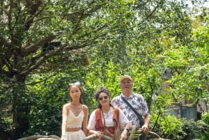 Parco a tema VinWonders e safari nella fauna selvatica di Phu Quoc