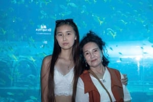 Parco a tema VinWonders e safari nella fauna selvatica di Phu Quoc