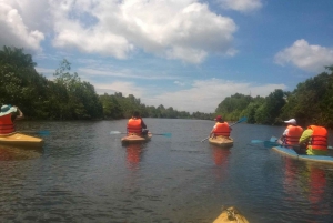 Phu Quoc's Northern Islands & Kayak Adventure: Explore Now