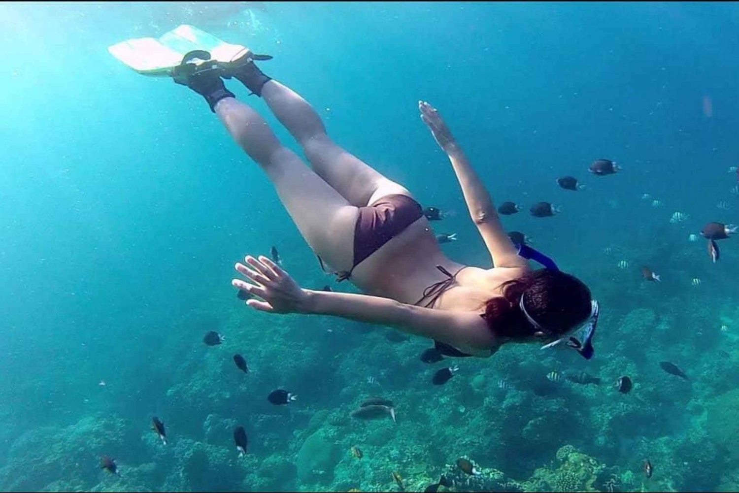 Phu Quoc Pro-opastettu koralliriuttasukelluskokemus