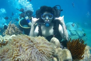 Red River Tour - Scuba Diving At Roi Island Phu Quoc