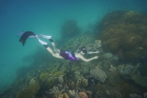 レッド リバー ツアー - フーコックの 2 つの小島を巡るシュノーケリング 1 日ツアー