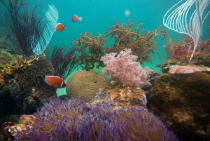 レッド リバー ツアー - フーコック島での海上ウォーキング体験