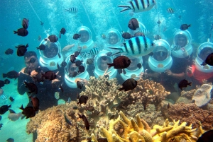 レッド リバー ツアー - フーコック島での海上ウォーキング体験