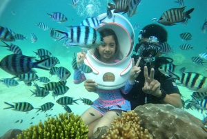 レッド リバー ツアー - フーコック島での海上ウォーキング体験