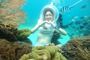 レッド リバー ツアー - フーコック島での海上ウォーキング体験