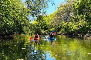 [Red River Tours] Sightseeing mod nord i Phu Quoc