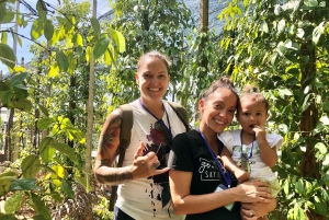 [Red River Tours] Sightseeing nordover i Phu Quoc