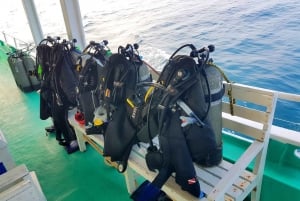 Scuba Diving - In The North of Phu Quoc