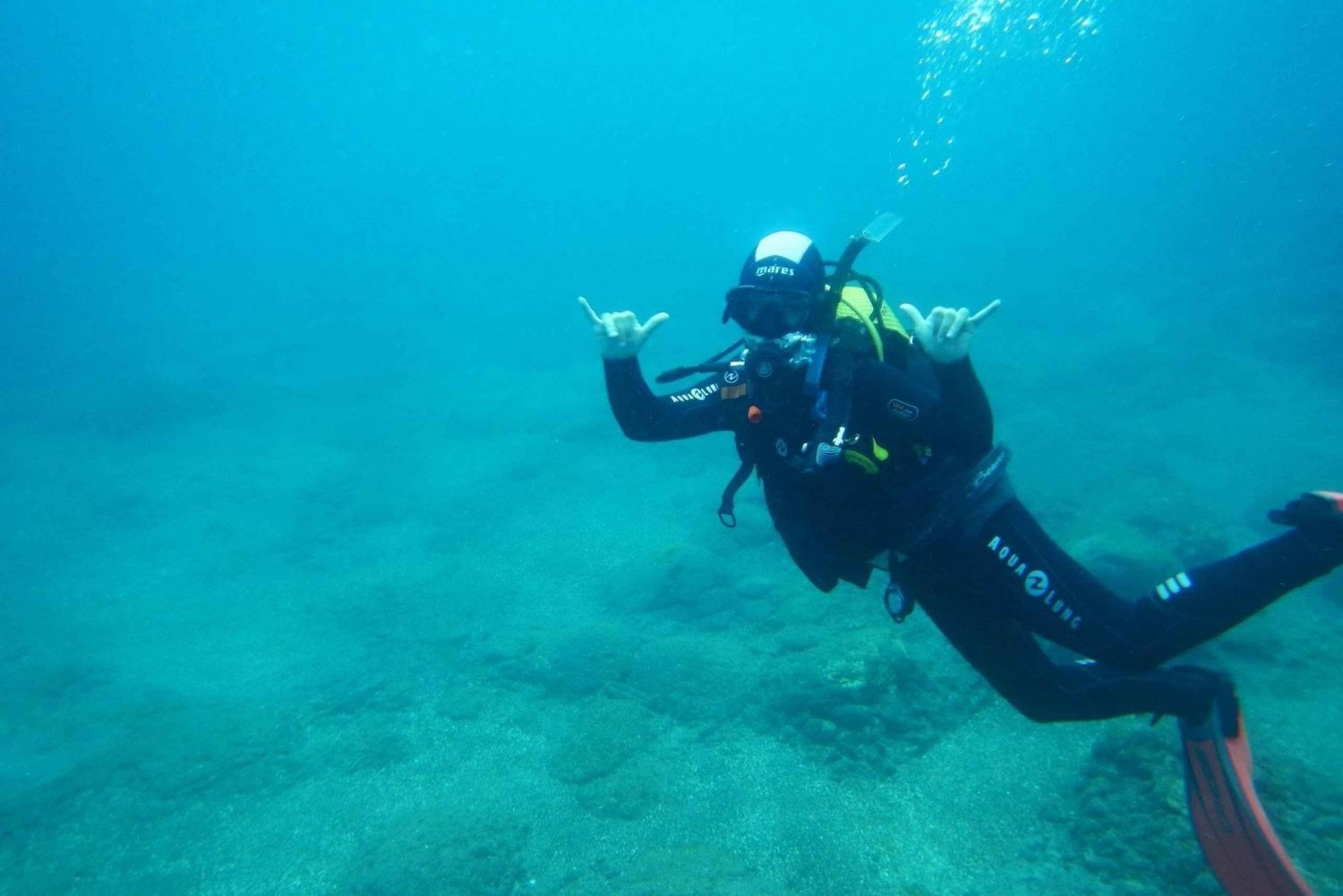 Scuba Diving: In the South