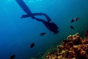 Scuba Diving & Snorkeling Experience in North Phu Quoc