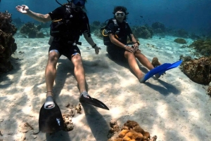 Scuba Diving & Snorkeling Experience in North Phu Quoc